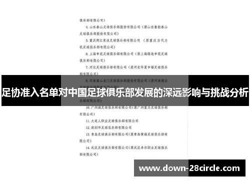 足协准入名单对中国足球俱乐部发展的深远影响与挑战分析