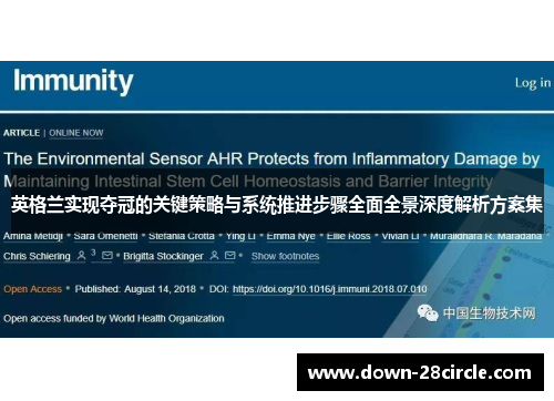 英格兰实现夺冠的关键策略与系统推进步骤全面全景深度解析方案集