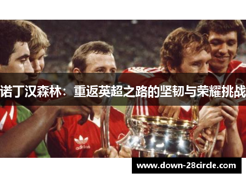 诺丁汉森林:重返英超之路的坚韧与荣耀挑战 诺丁汉森林:重返英超之路的坚韧与荣耀挑战