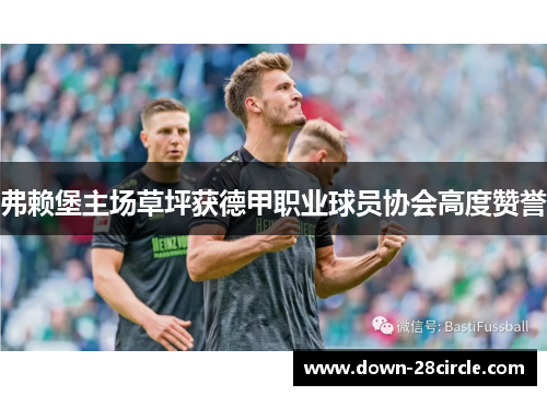 弗赖堡主场草坪获德甲职业球员协会高度赞誉