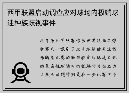 西甲联盟启动调查应对球场内极端球迷种族歧视事件