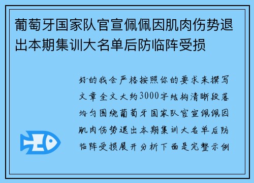 葡萄牙国家队官宣佩佩因肌肉伤势退出本期集训大名单后防临阵受损